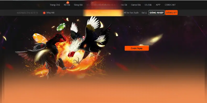 Đá Gà Nohu90 – Xem Miễn Phí, Cá Cược Nhanh, Thưởng Lớn